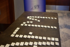 AFM__1072